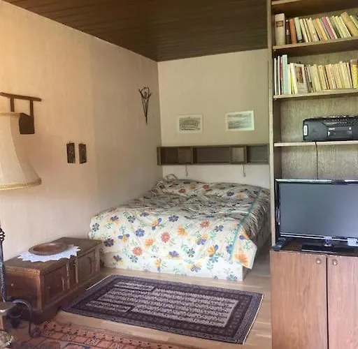 Apartament Direkt Am Ossiacher Tschoran